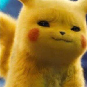 Meet your Posher, Perry